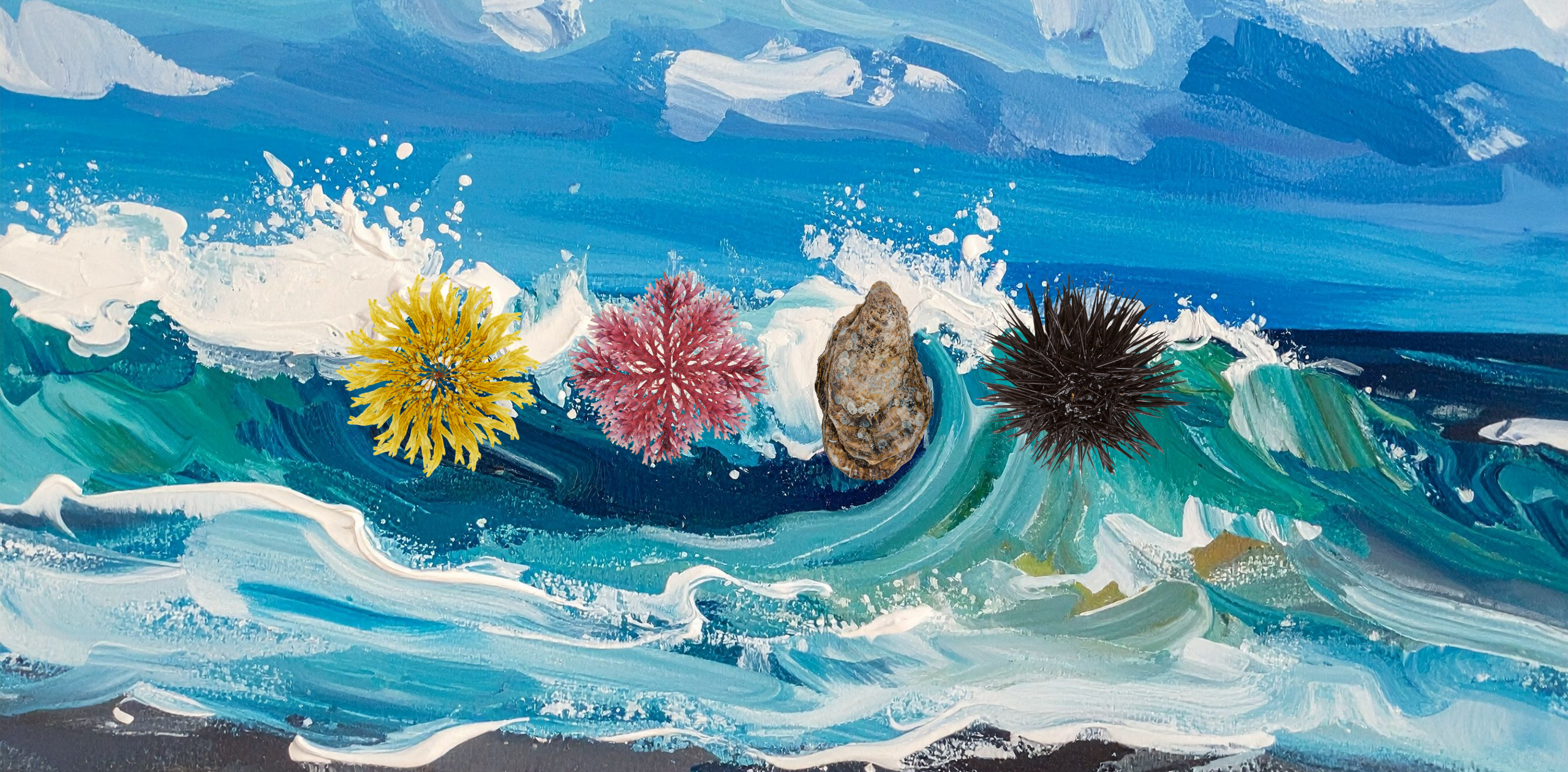 Colabs - The Blue Bioeconomy: Turning Ocean Intelligence into ...