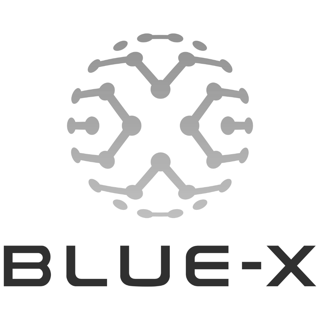 Blue-X Venture Studio